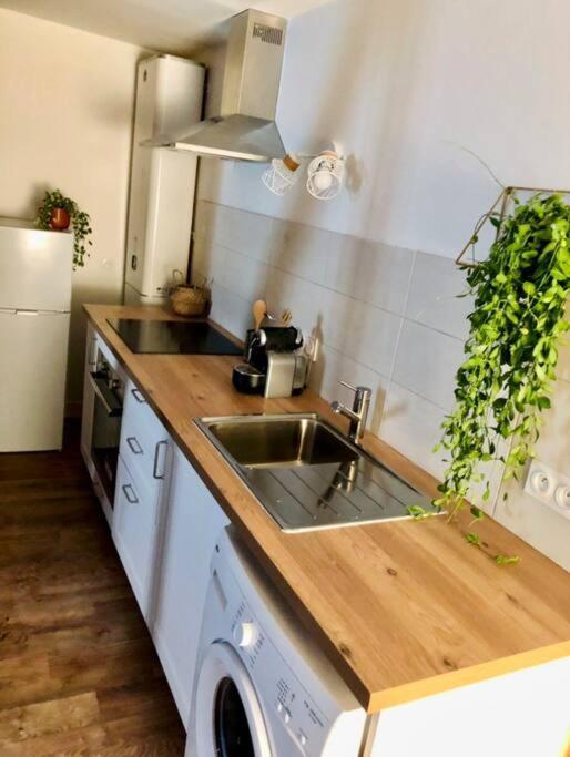 Appartement Au Coeur Du Centre Historique Bergerac Ngoại thất bức ảnh